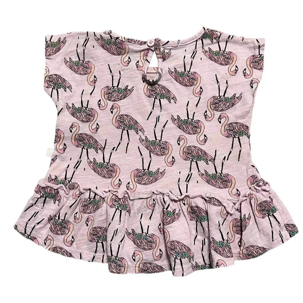 Rosie Pope 12m Flamingo Shorts Set